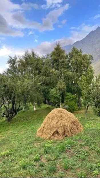 Emotion Kazbegi