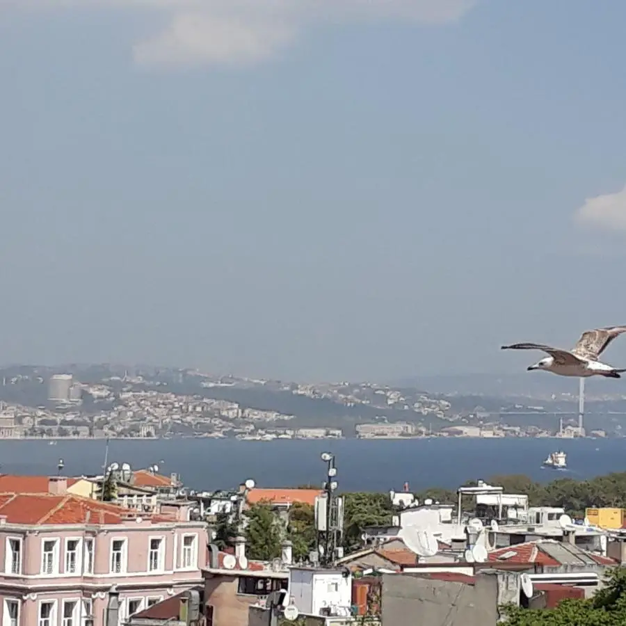 Hali Hotel