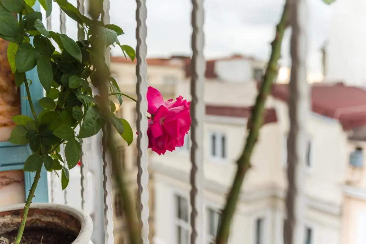 Ragip Pasha Apartments