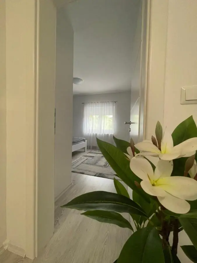 Apartman Kis