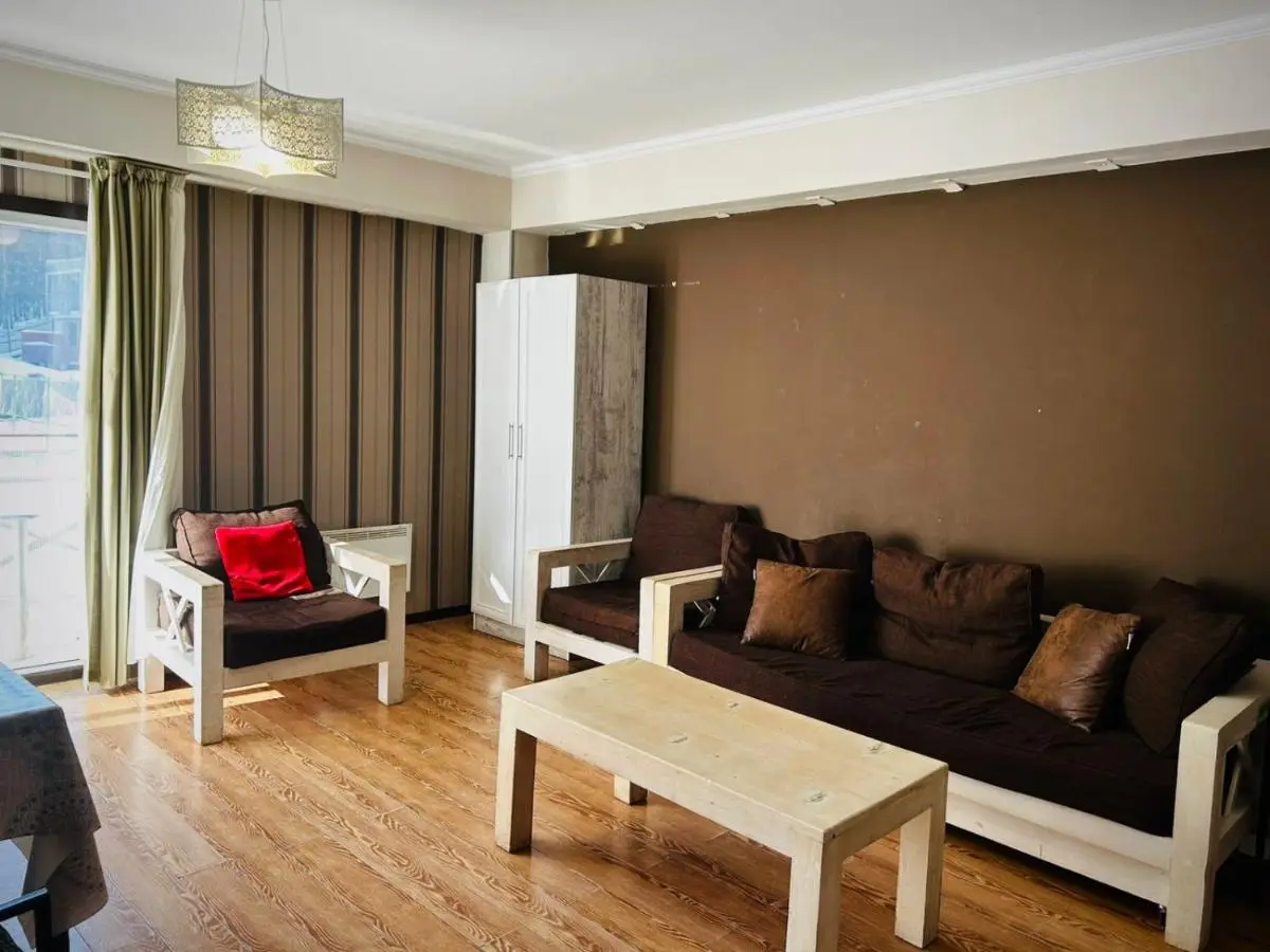 Bakuriani Mgazavrebi block 2 apartment 207