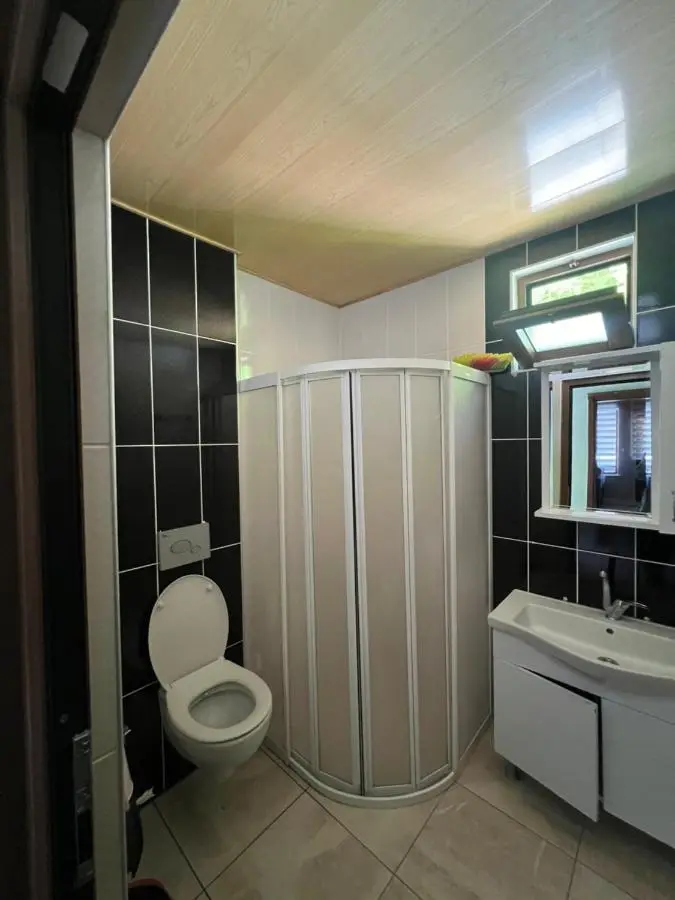 Tree Rose Suite