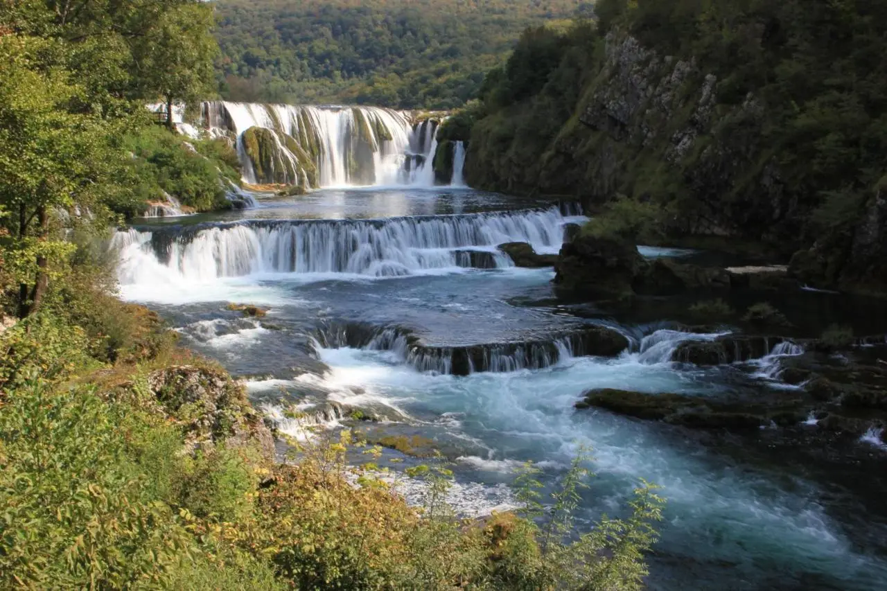 Pure Nature