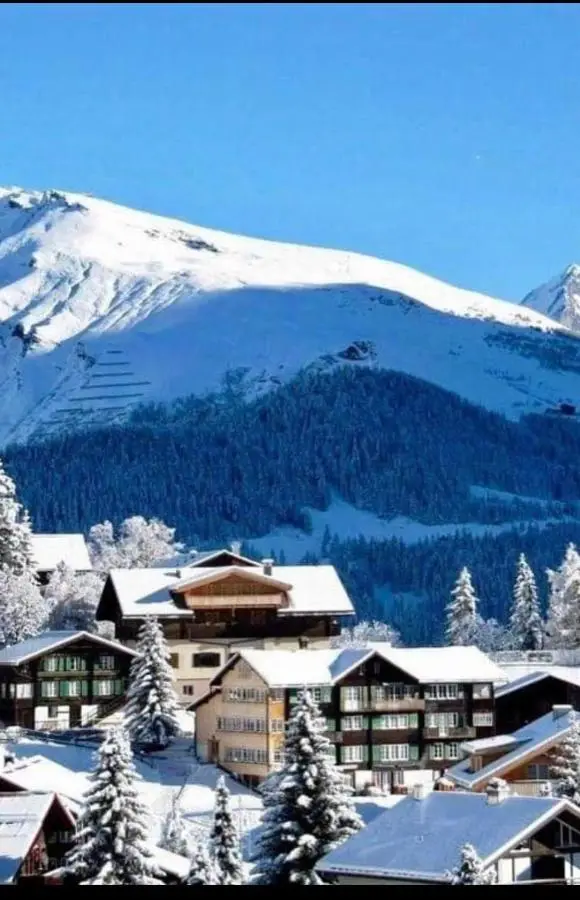 Hillside Bakuriani