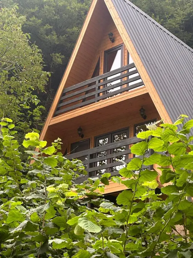 A villa in nature