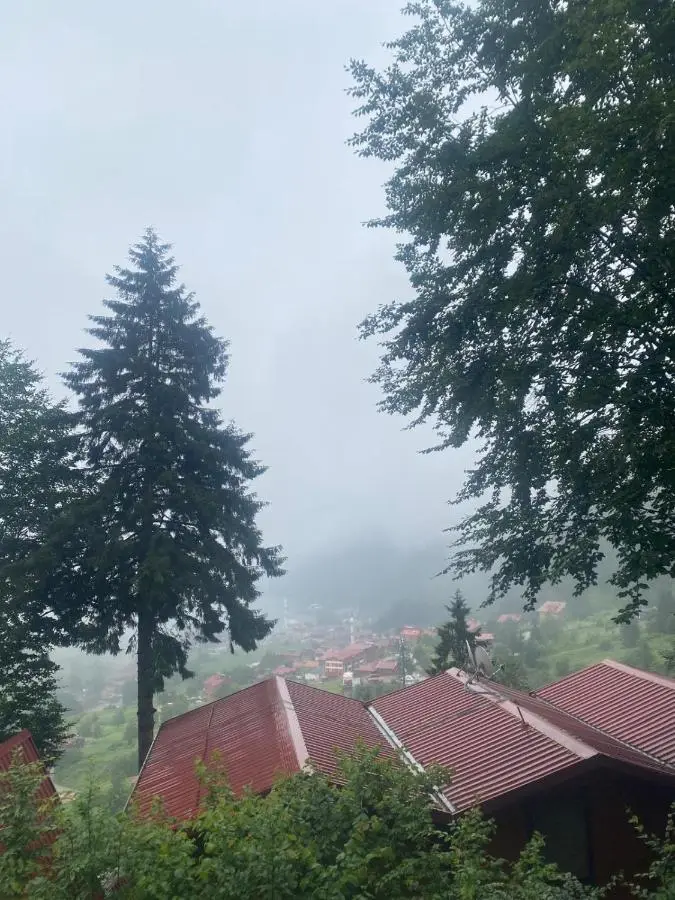 maneviga pansiyon