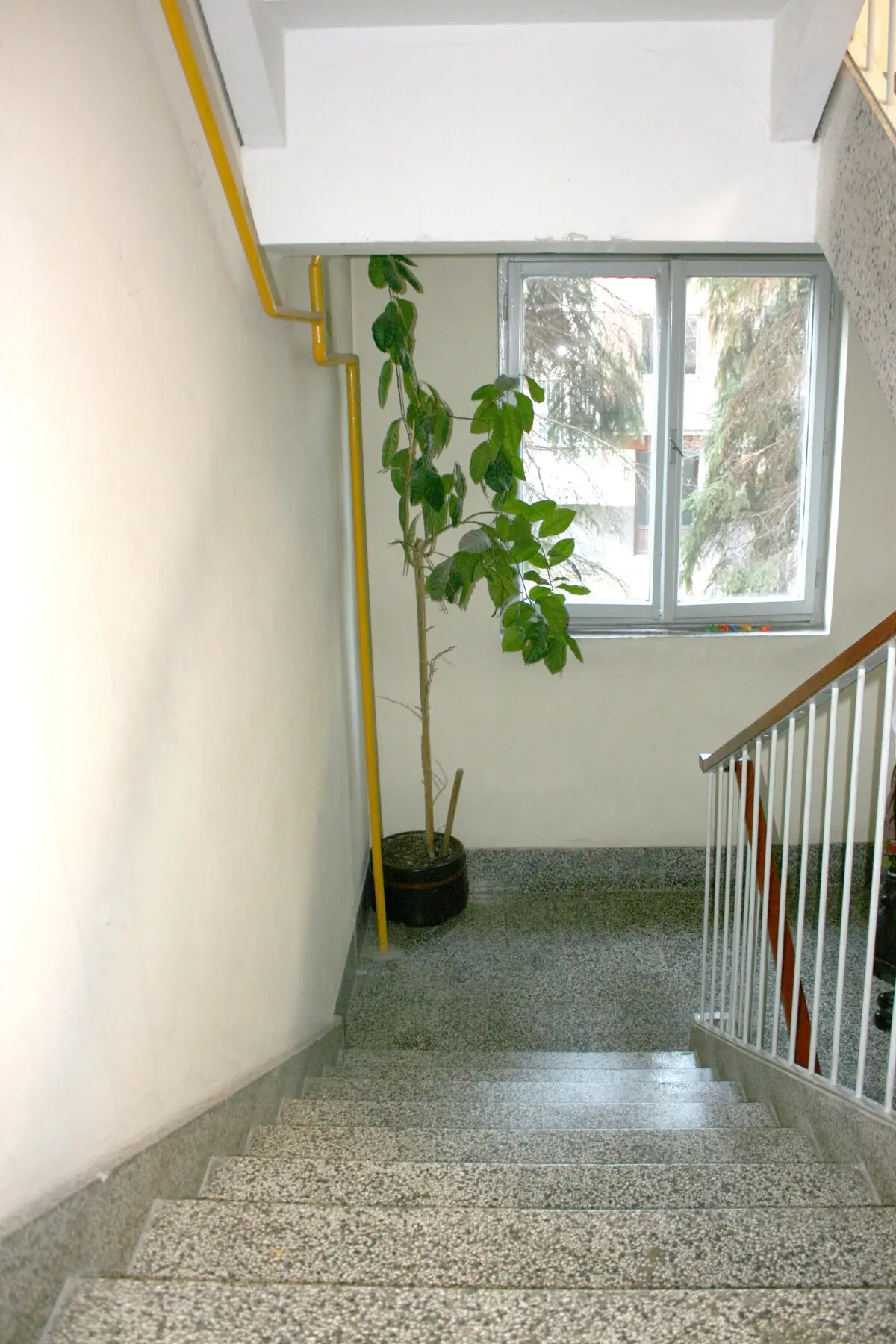 Lejla Apartment in Center Sarajevo