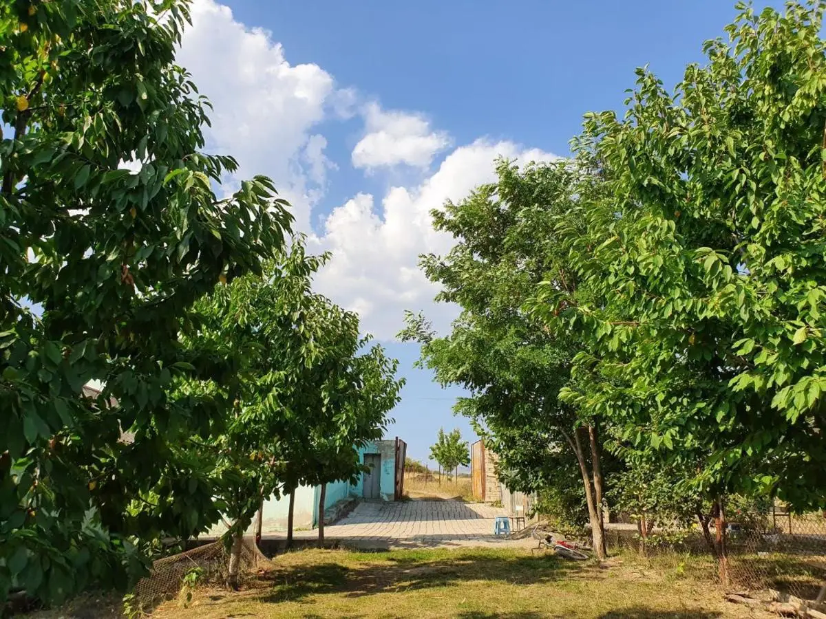La Casa de Habel