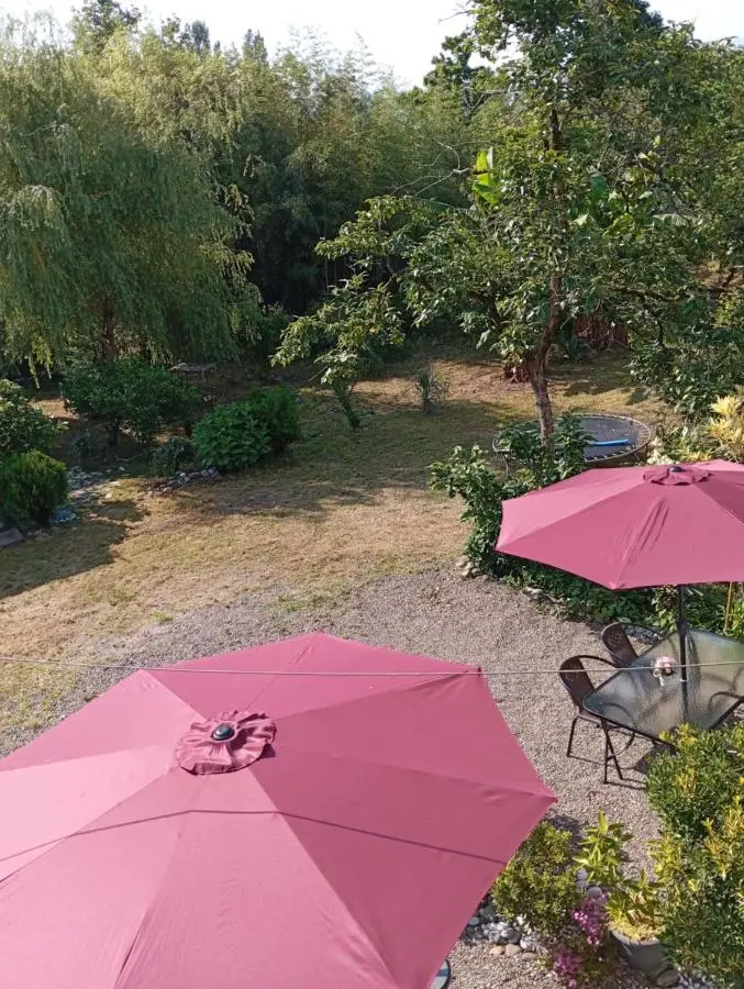 Dito House