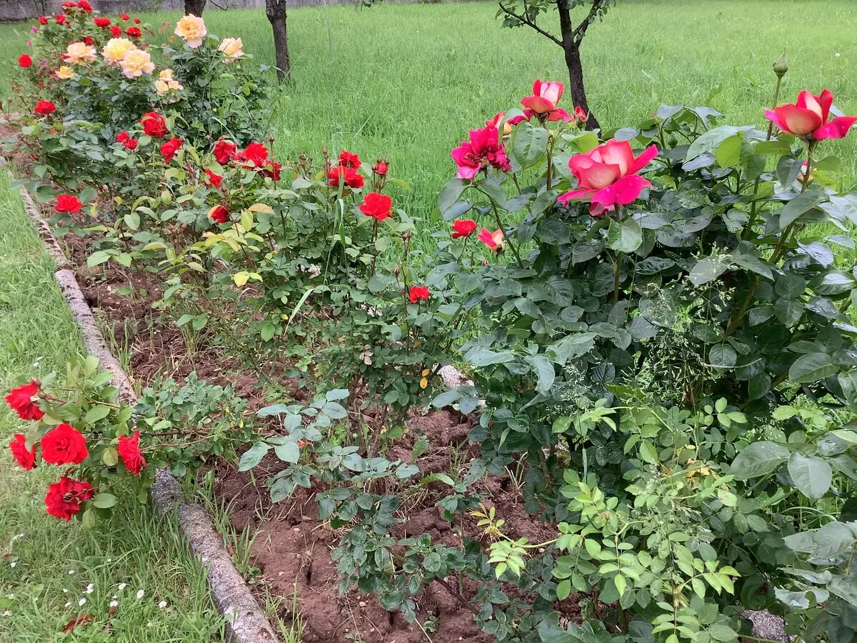 Villa Nora Garden