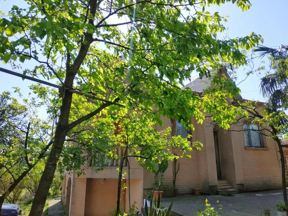 Сибиряк Sibiryak