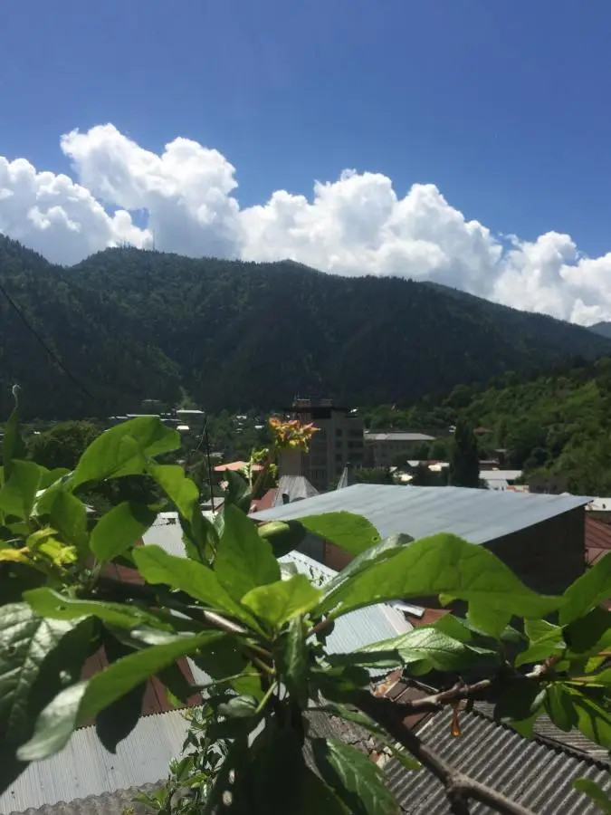 Hotel Victoria-Panorama