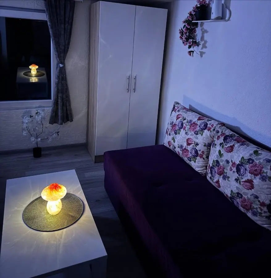 Georgeous lux apartment