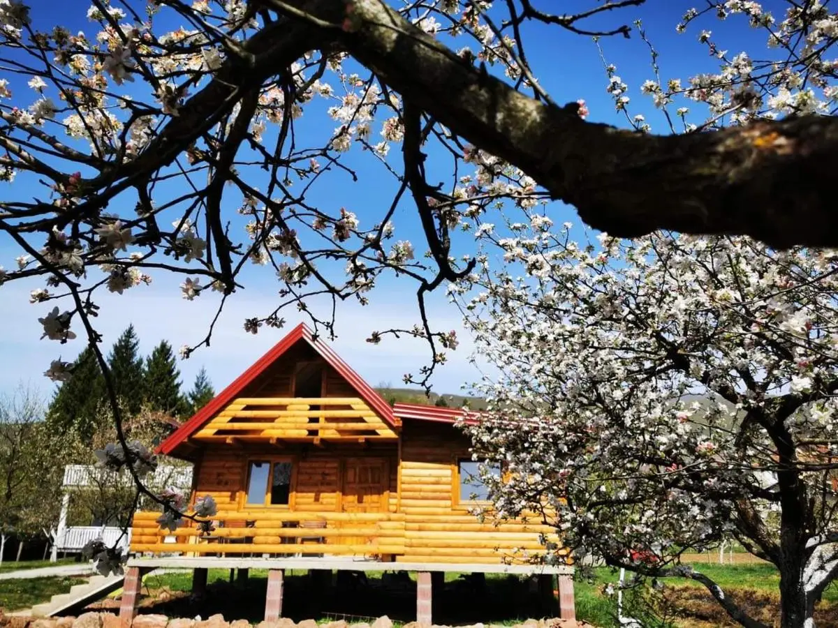 Wooden House "Una"