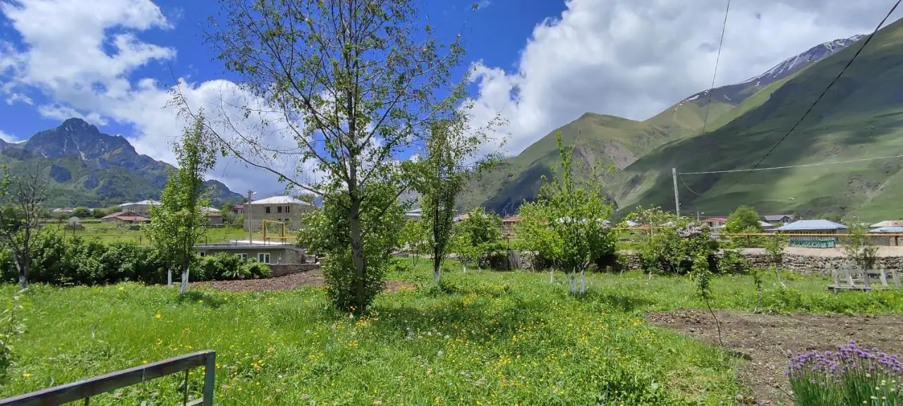 Kamara Guest House