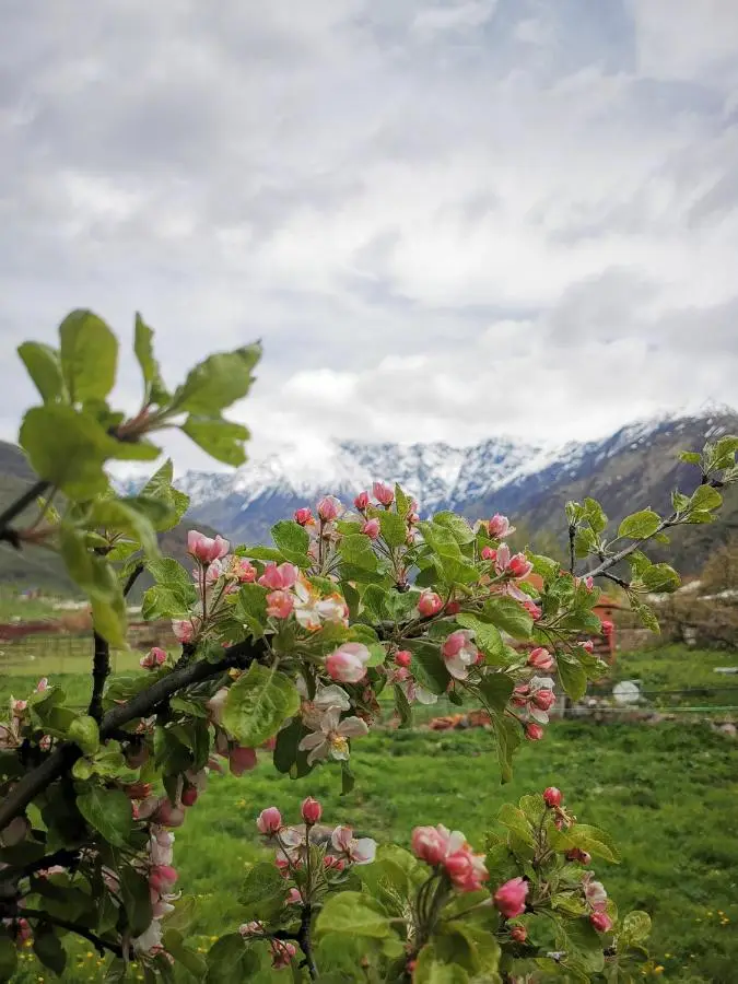 Kazbegi Mountain Cottage MTA-Shi