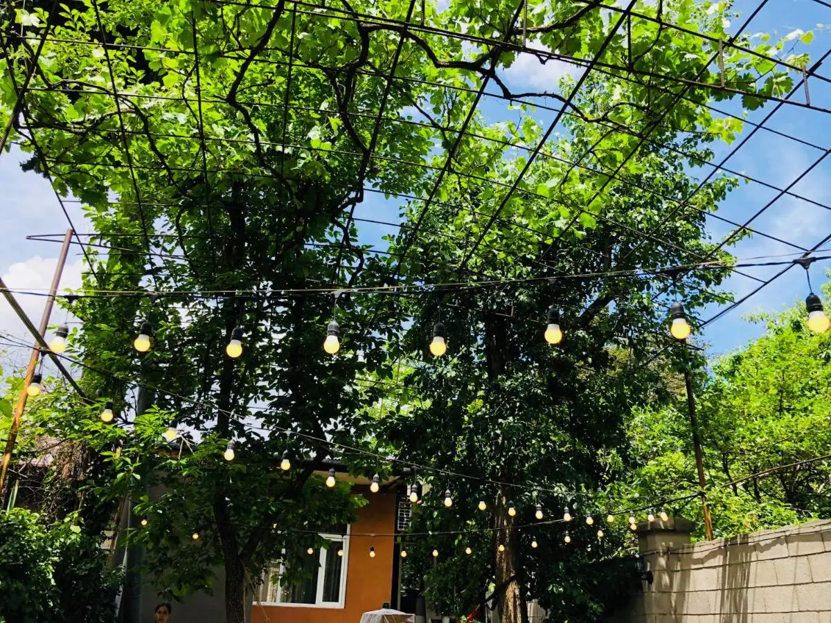 Bude Hostel