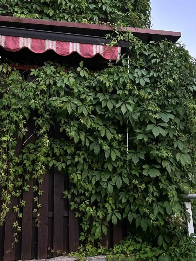 Villa Poljine GREEN