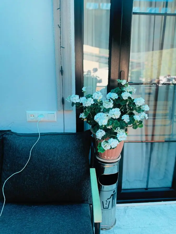 happy home