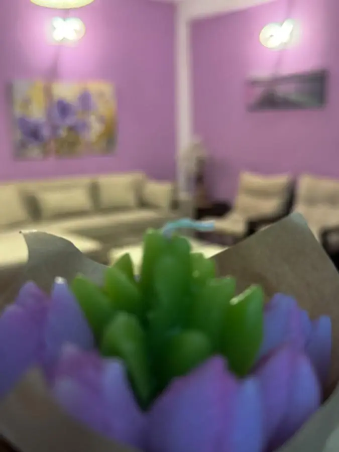 Riaho Apartment