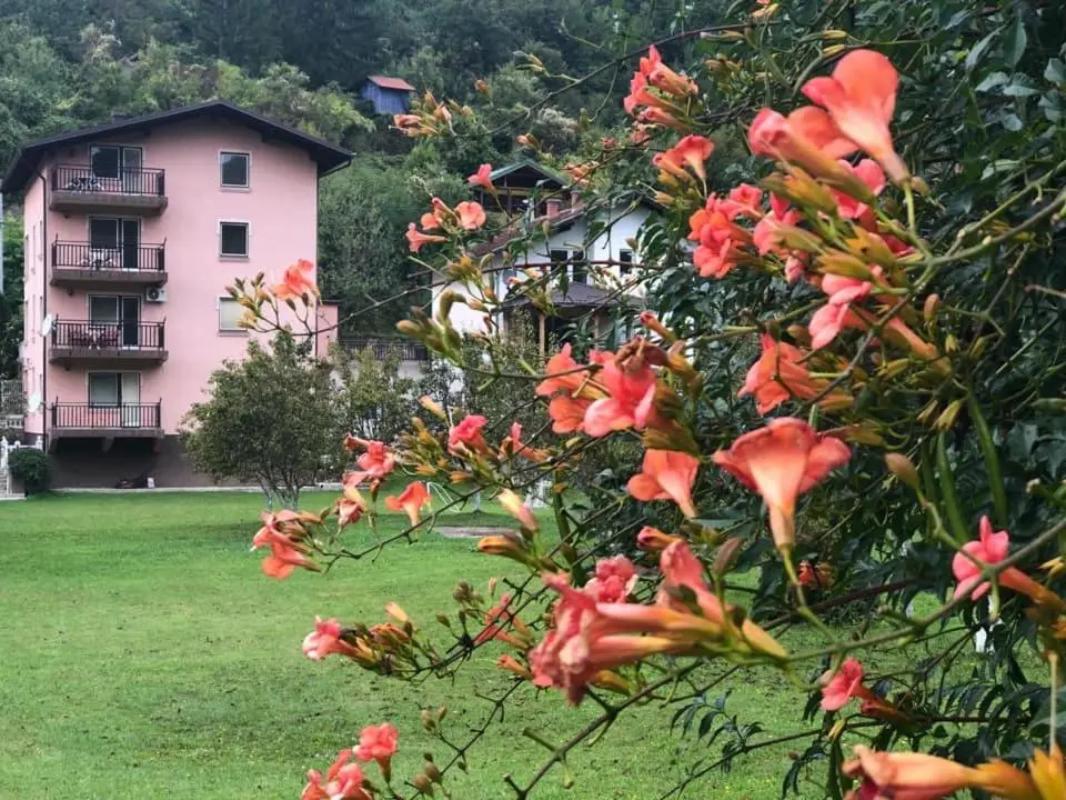 Saraj Guest House