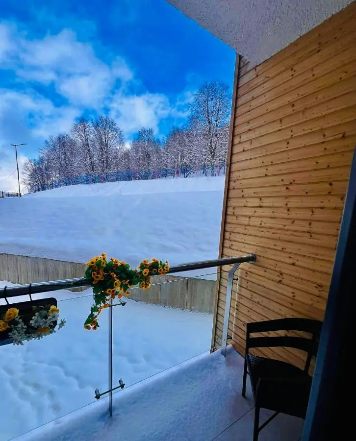 Crystal Wood Apartment 213