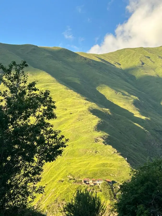 Cottage GORDA Kazbegi