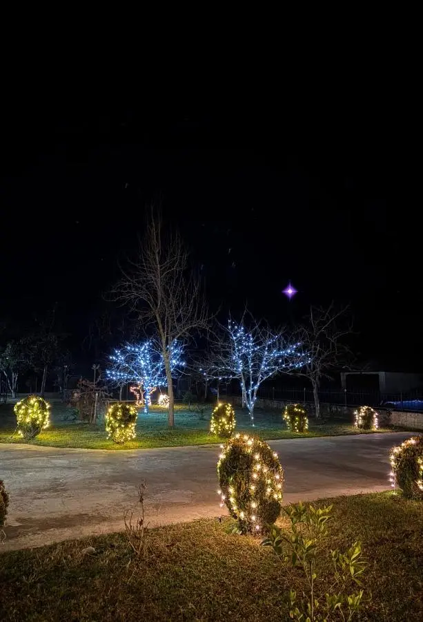 Chalet Martvili