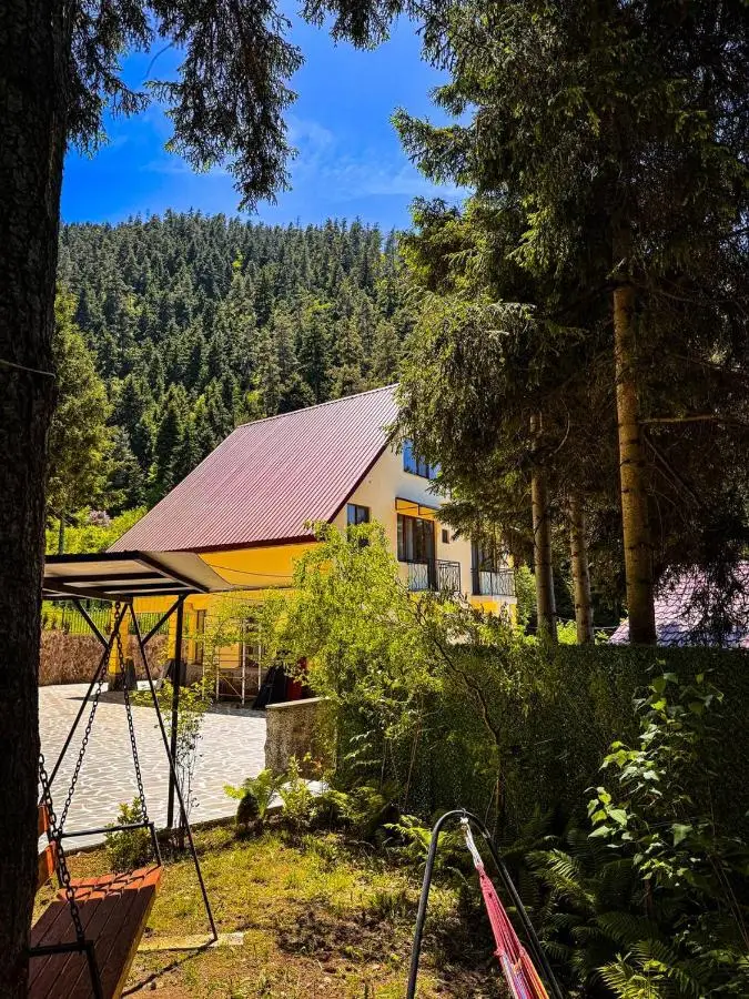Hotel forest echo