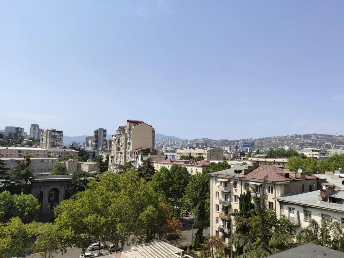Tbilisi App 2