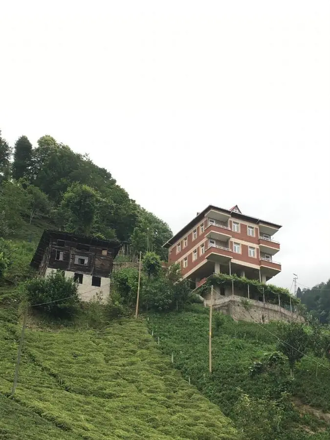 Gunguli Pansiyon