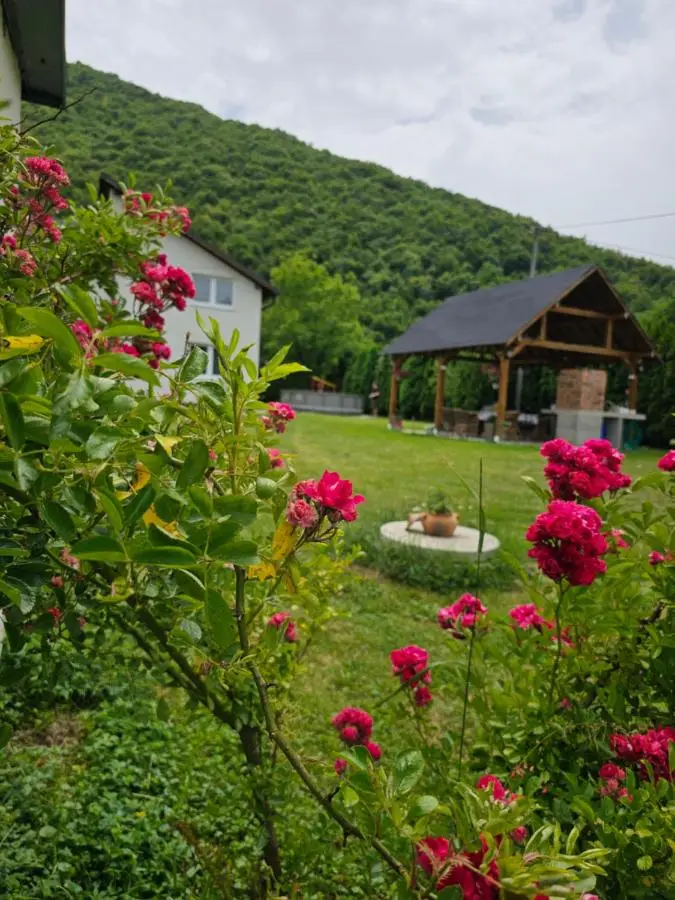 Luxury house "Heart of Nature" Visoko