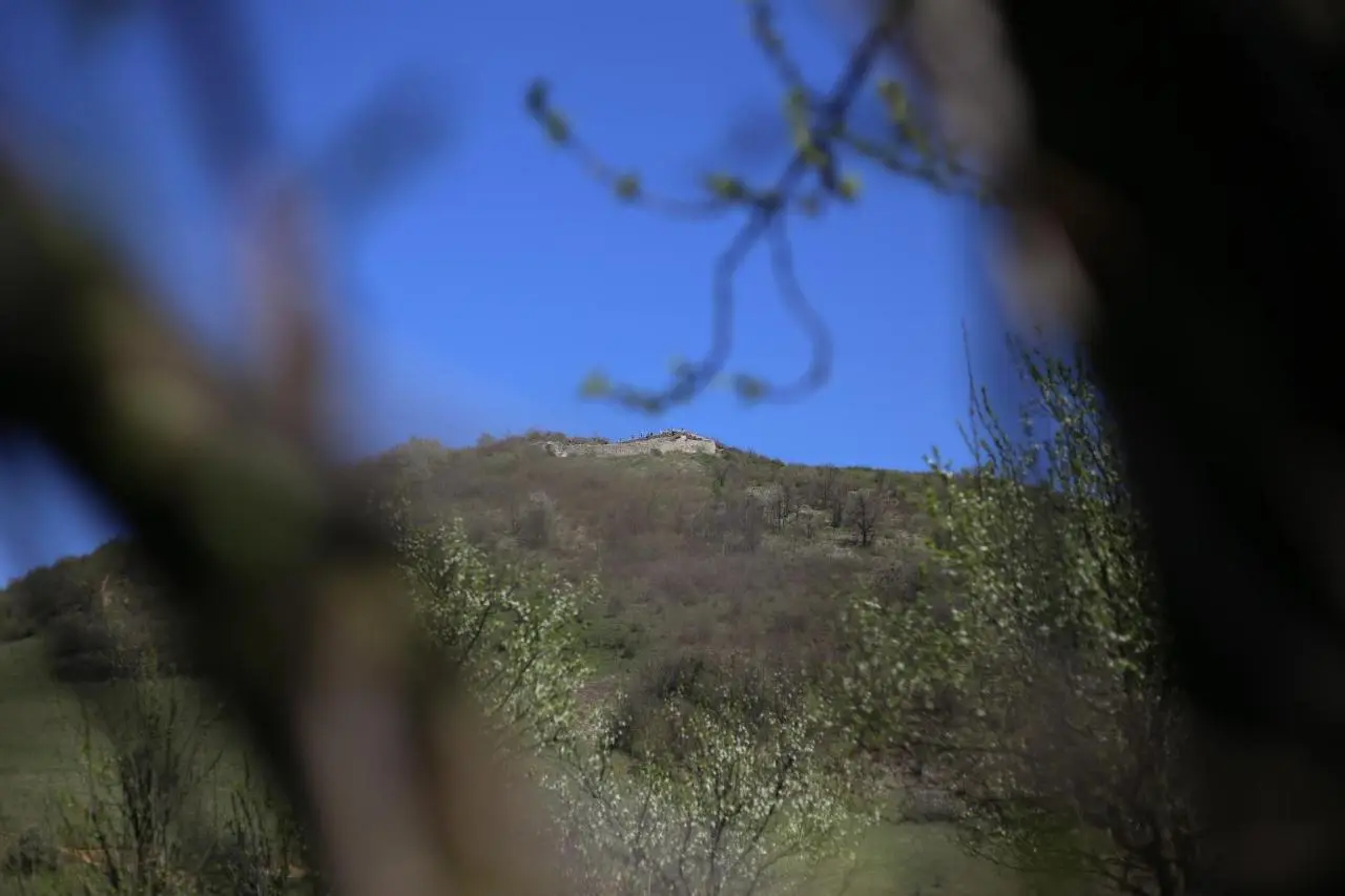 Forest Lodge on the Pyramid