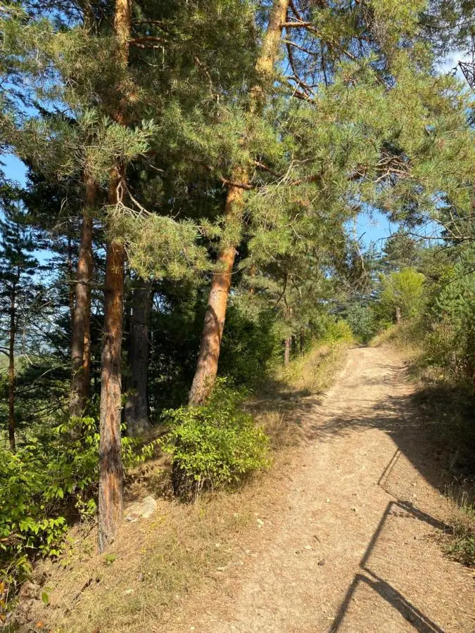 EcoCottage Didi Mindori - Among the Pines