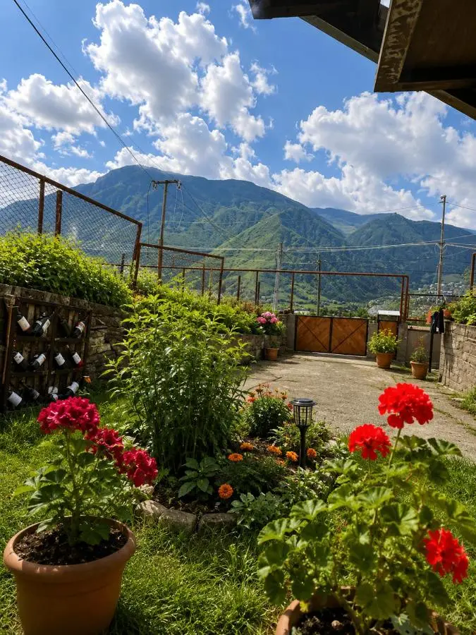Relax Kazbegi Panoramic Mountain View