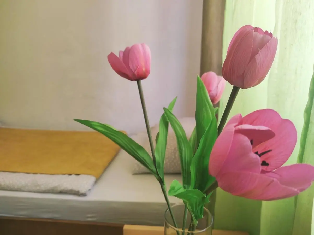 Apartment Katica Mostar