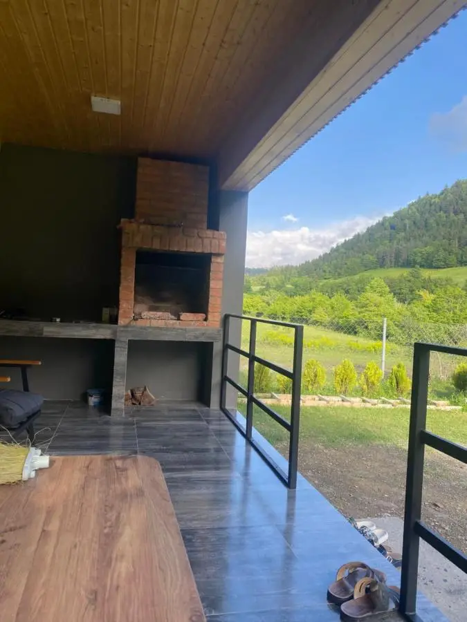 MTA house - Borjomi