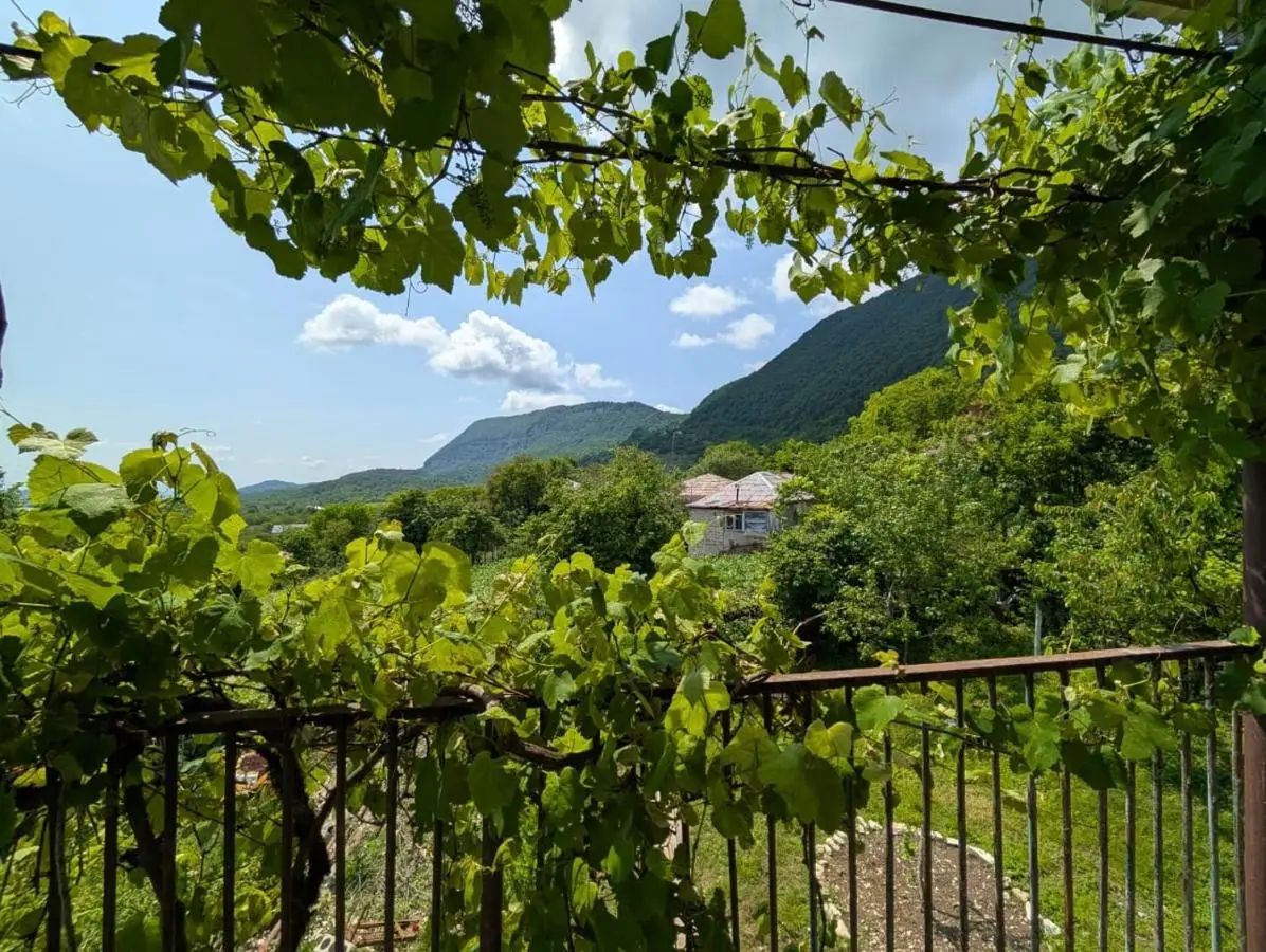 Guest House Roba