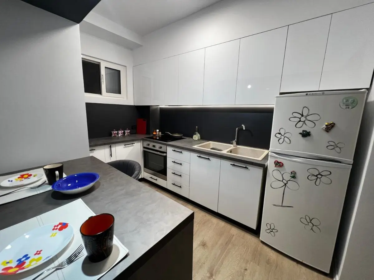 AmIon Apartment in Center of Tirana