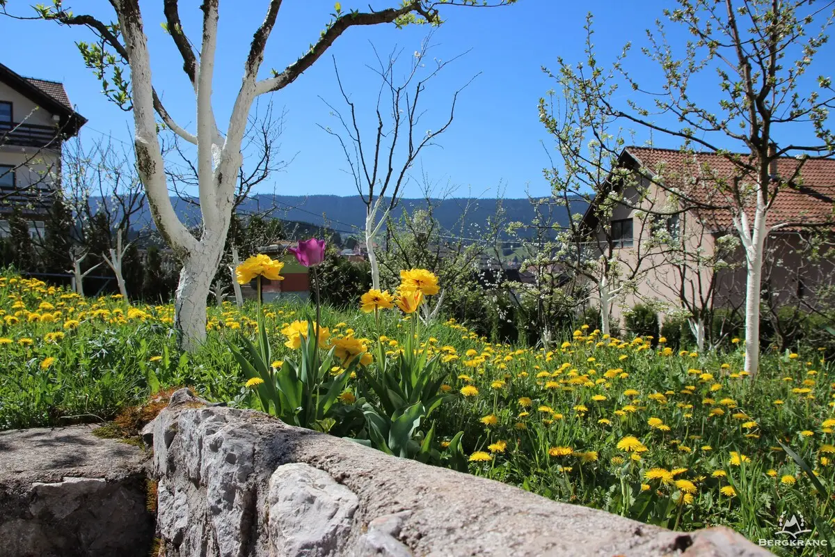 Bergkranc Hotel & Resort