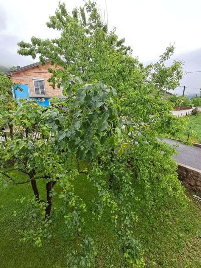 Kuca za odmor Amber