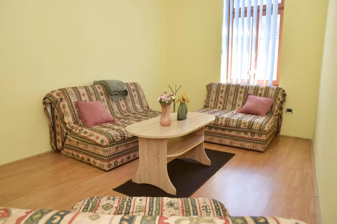 Apartman Vinkov's center
