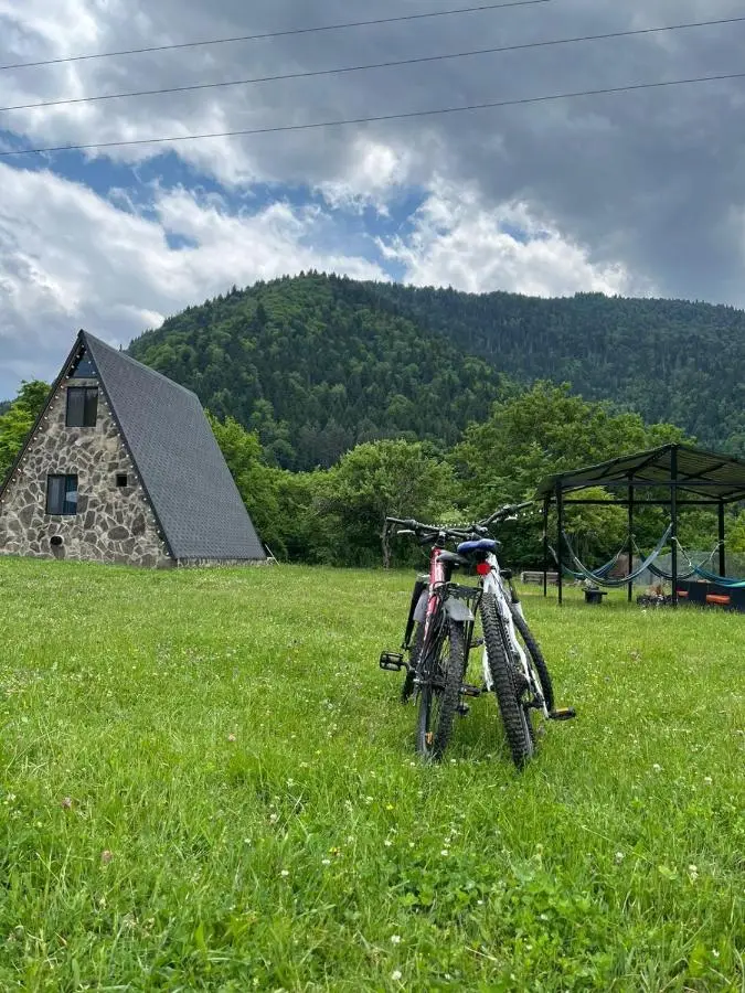 Hillside Borjomi Two chalet