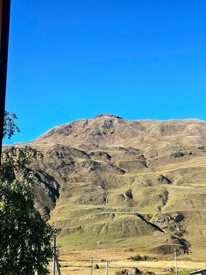 Shelva Cottage kazbegi