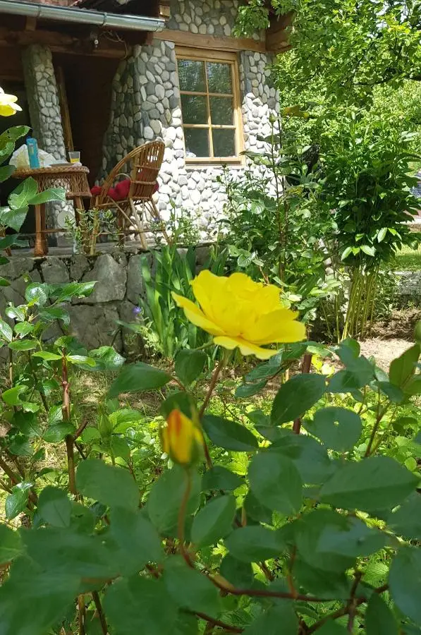 COUNTRY HOUSE