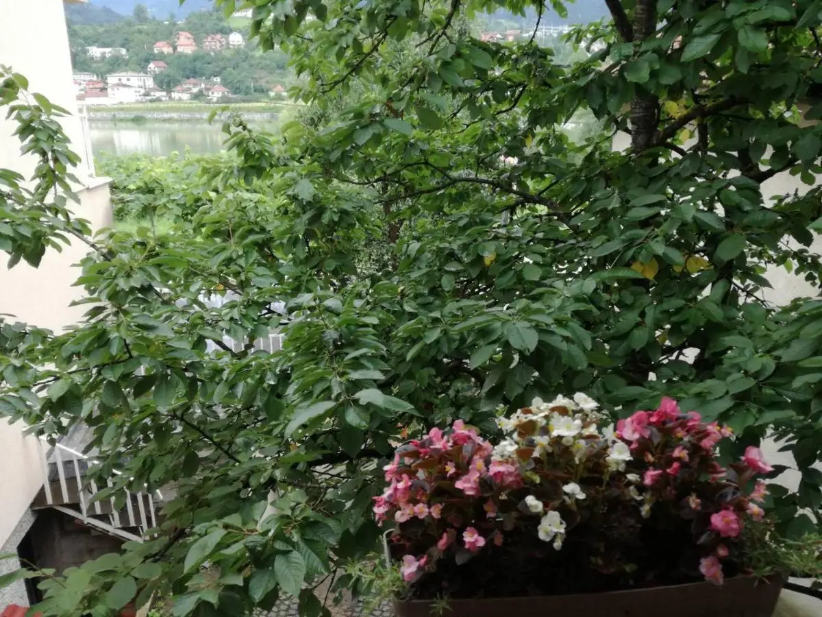 Cherry flower ( Trešnjin Cvet ) apartment