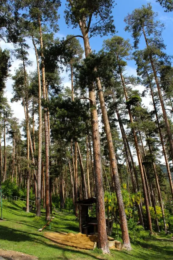 Likani-house's Cottage