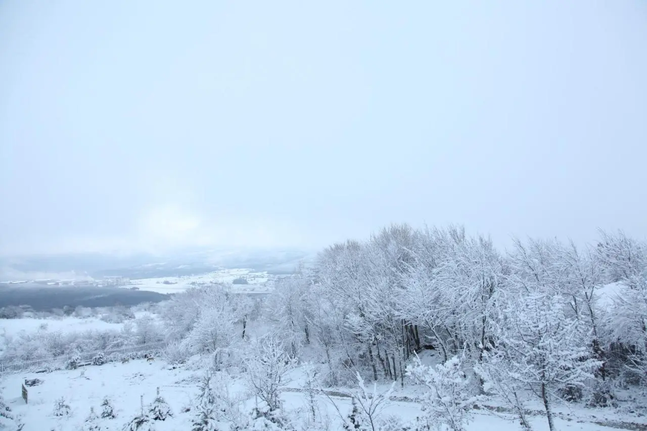 Yaban Yasam Chalets