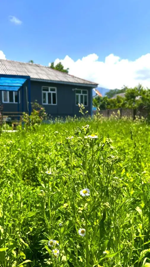Secret Guest House
