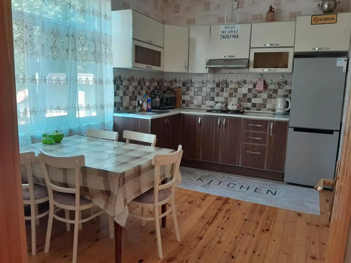 Gabala villa Exceptional